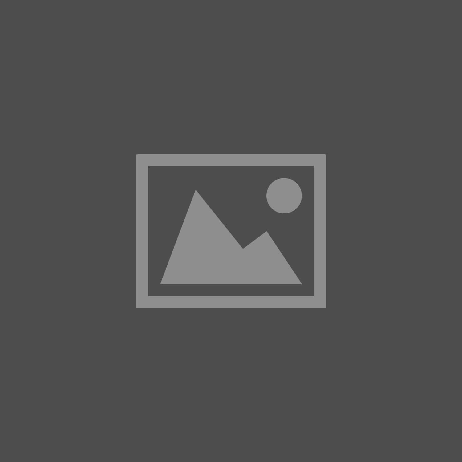 logo1